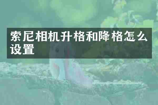 索尼相机升格和降格怎么设置
