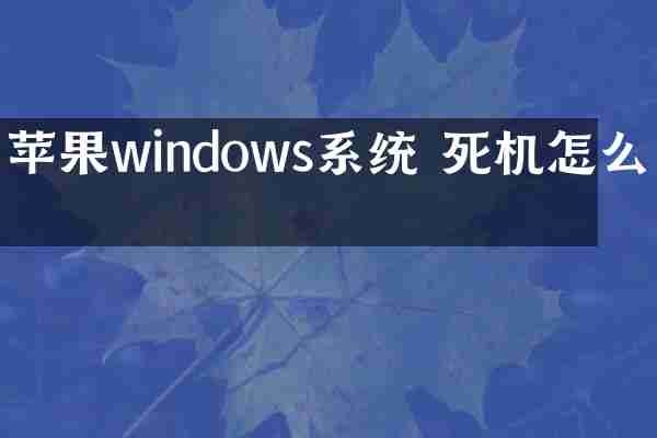 苹果windows系统 死机怎么办