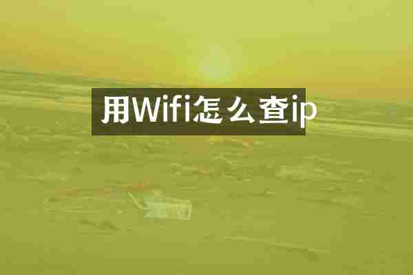 用Wifi怎么查ip
