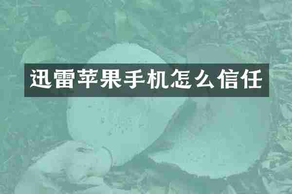 迅雷苹果手机怎么信任