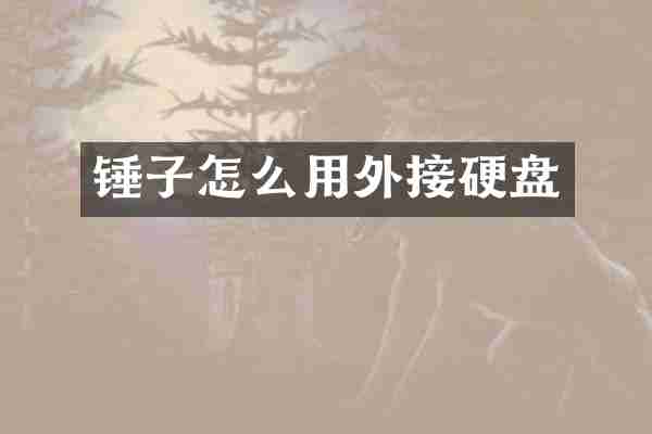 锤子怎么用外接硬盘