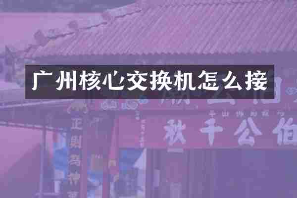 广州核心交换机怎么接