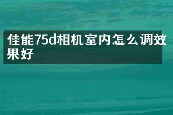 佳能75d相机室内怎么调效果好
