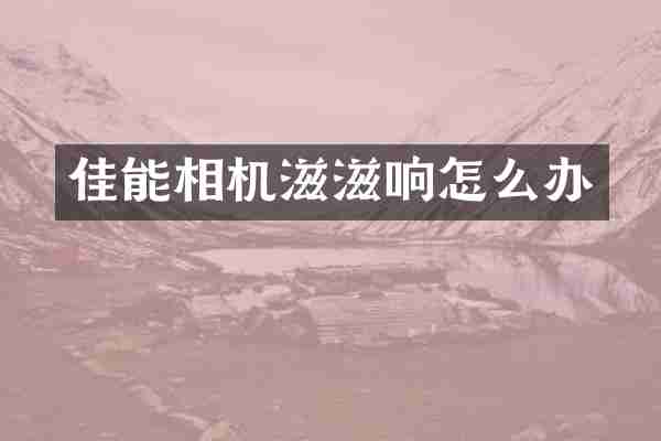 佳能相机滋滋响怎么办