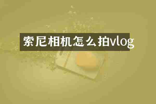 相机怎么拍vlog