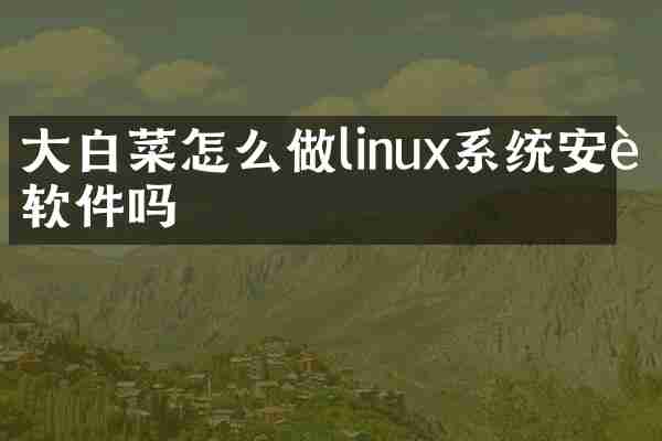 大白菜怎么做linux系统安装软件吗