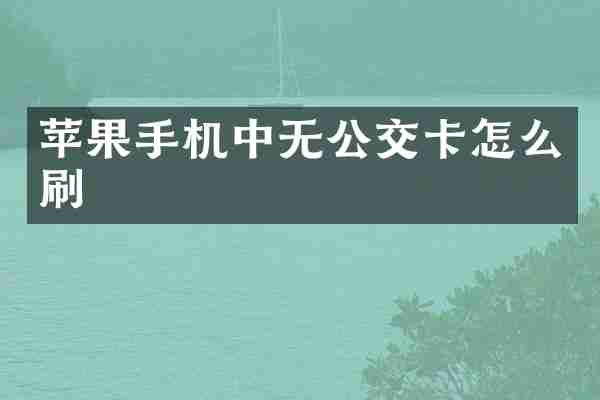 苹果手机中无公交卡怎么刷