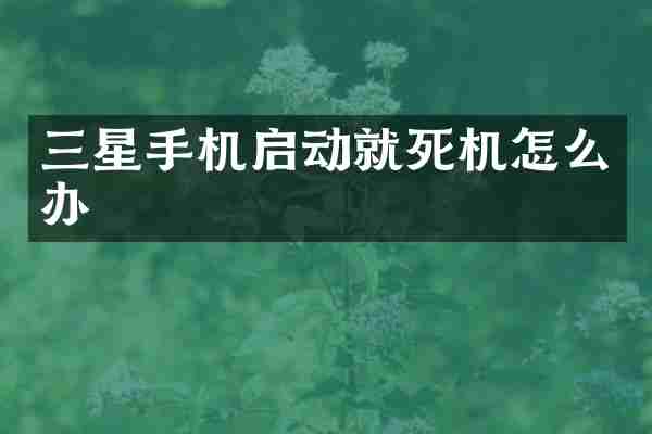 三星手机启动就死机怎么办