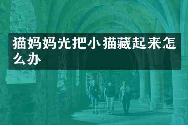 猫妈妈光把小猫藏起来怎么办