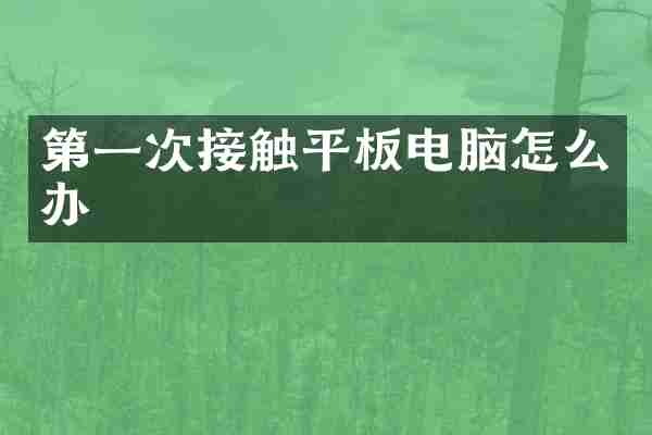 第一次接触平板电脑怎么办