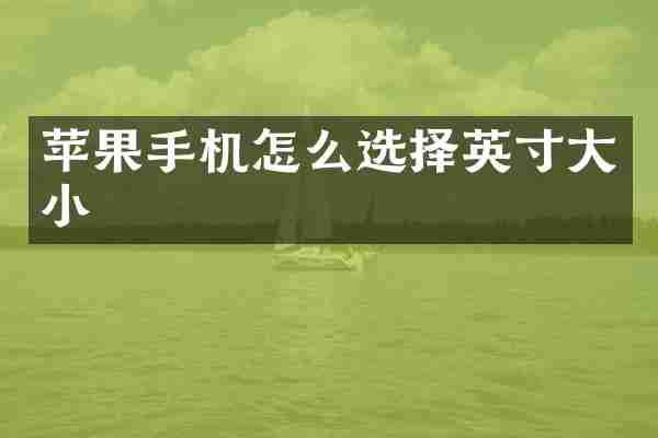 苹果手机怎么选择英寸大小