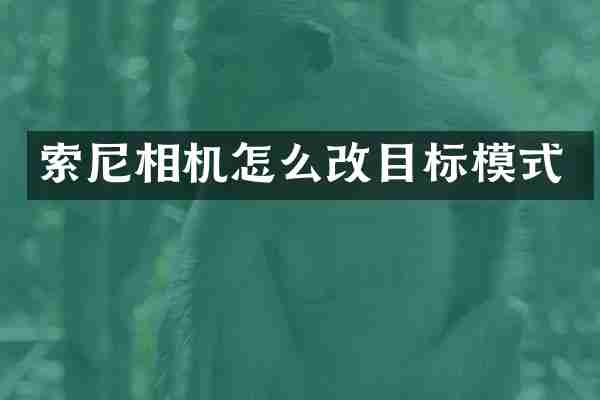 相机怎么改目标模式