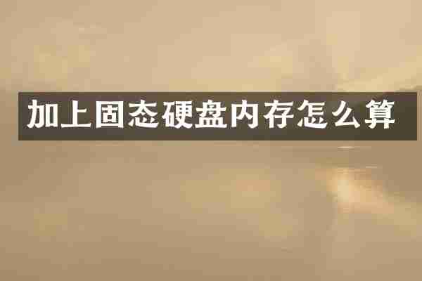 加上固态硬盘内存怎么算