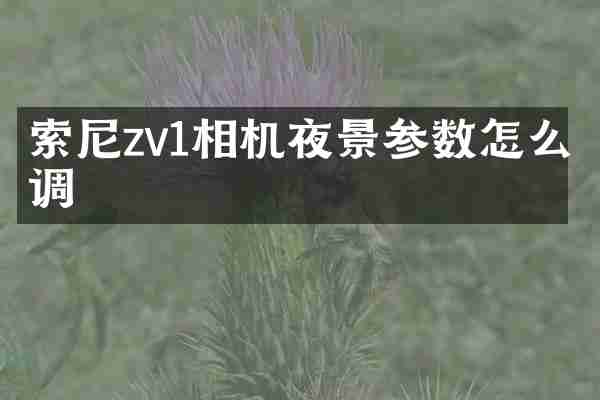 索尼zv1相机夜景参数怎么调