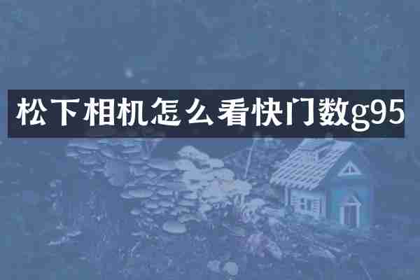 相机怎么看快门数g95