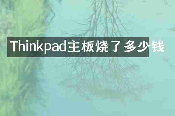 Thinkpad主板烧了多少钱
