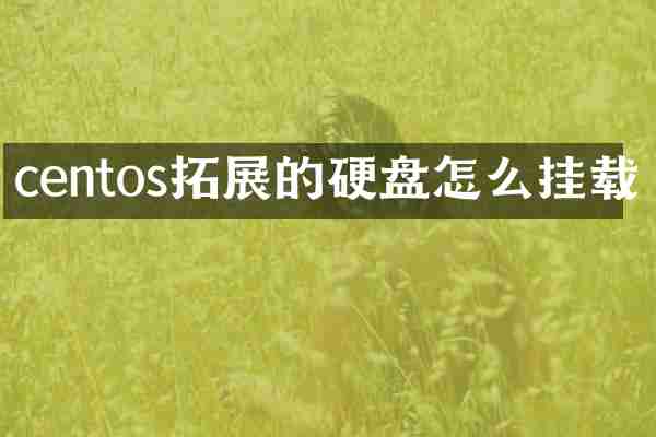 centos拓展的硬盘怎么挂载
