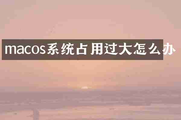 macos系统占用过大怎么办