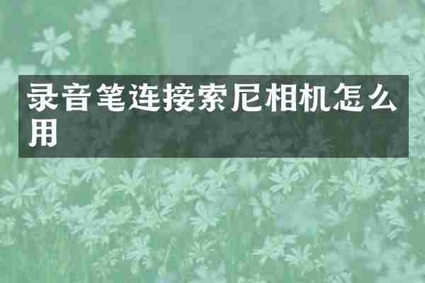 录音笔连接索尼相机怎么用