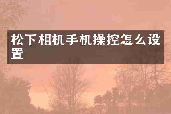 相机手机操控怎么设置