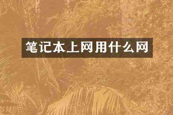 笔记本上网用什么网