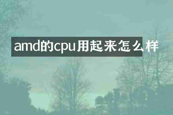 amd的cpu用起来怎么样