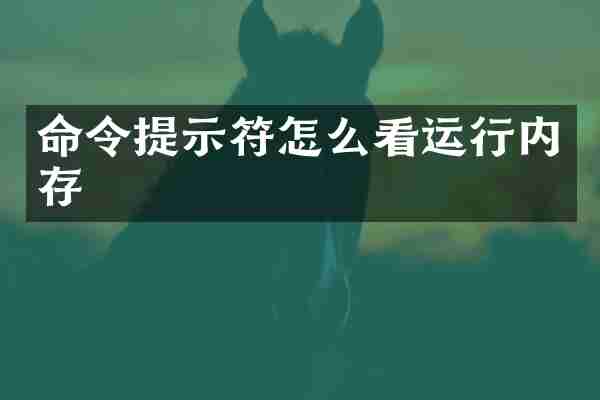 命令提示符怎么看运行内存