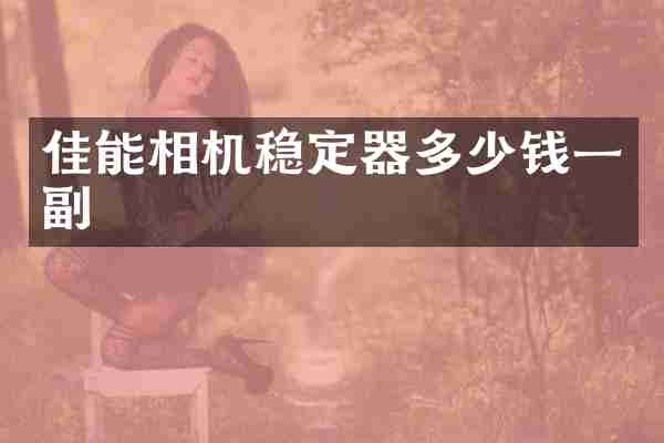 佳能相机稳定器多少钱一副