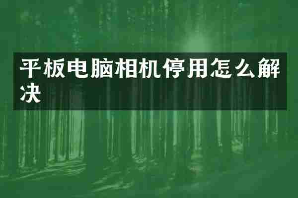 平板电脑相机停用怎么解决
