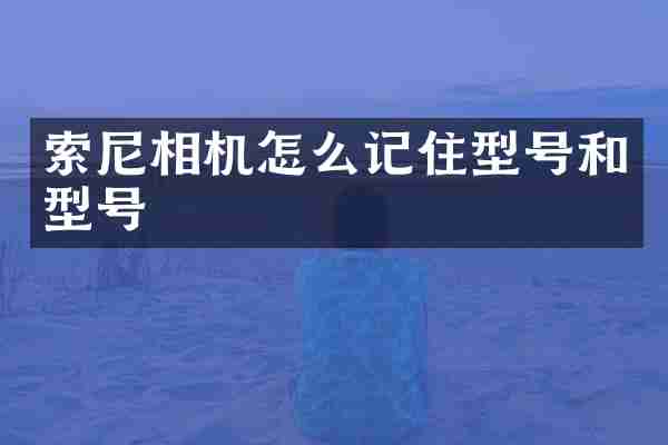 相机怎么记住型号和型号