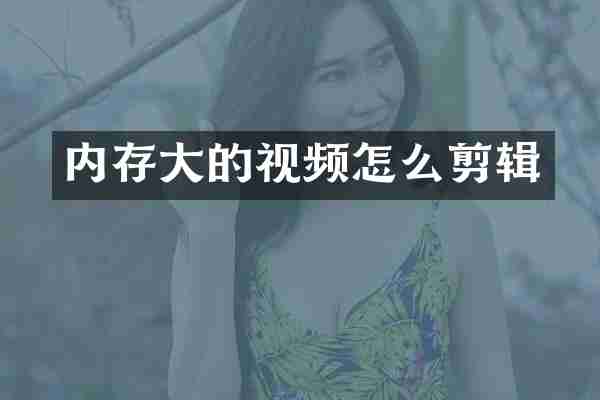 内存大的视频怎么剪辑