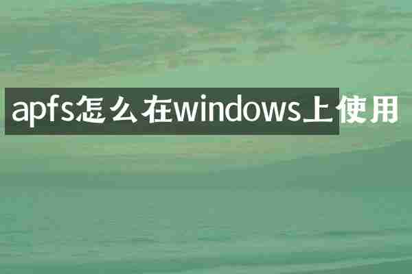 apfs怎么在windows上使用