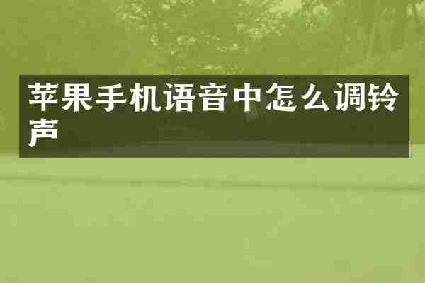 苹果手机语音中怎么调铃声