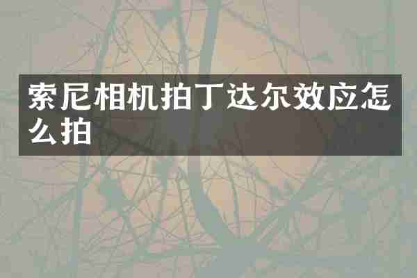 相机拍丁达尔效应怎么拍