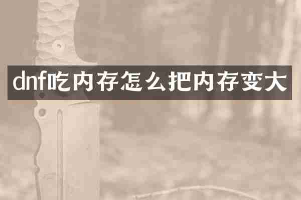 dnf吃内存怎么把内存变大