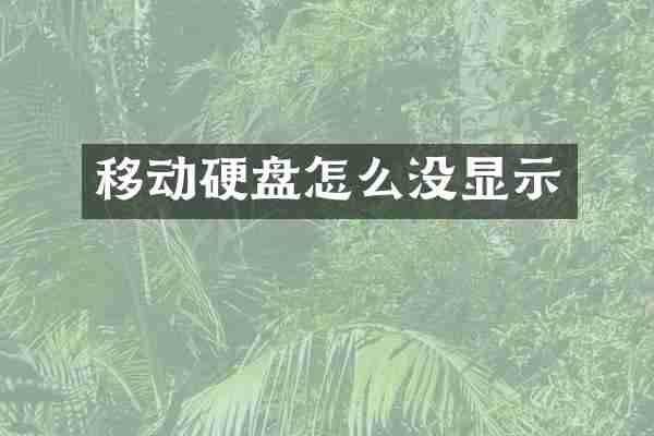 移动硬盘怎么没显示