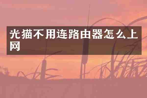 光猫不用连路由器怎么上网