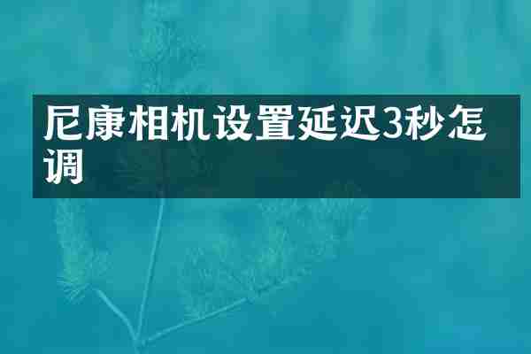 尼康相机设置延迟3秒怎么调