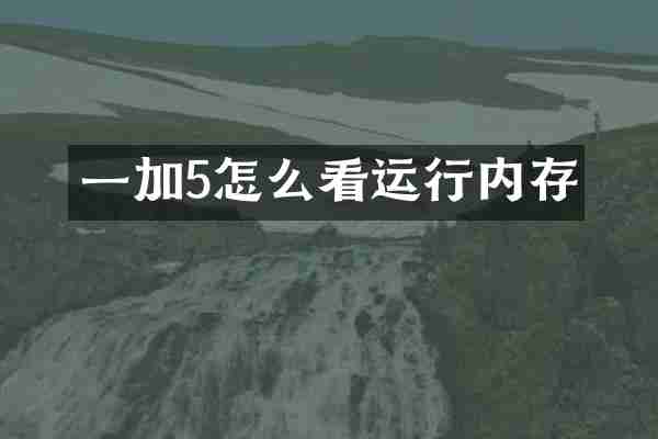 一加5怎么看运行内存