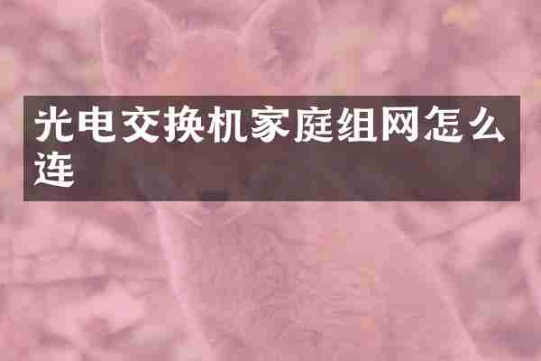 光电交换机家庭组网怎么连