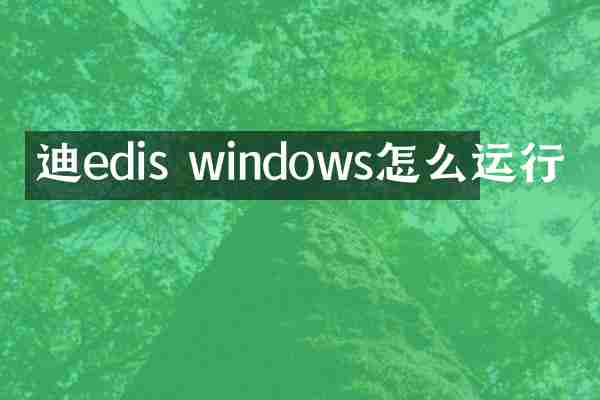 迪edis windows怎么运行