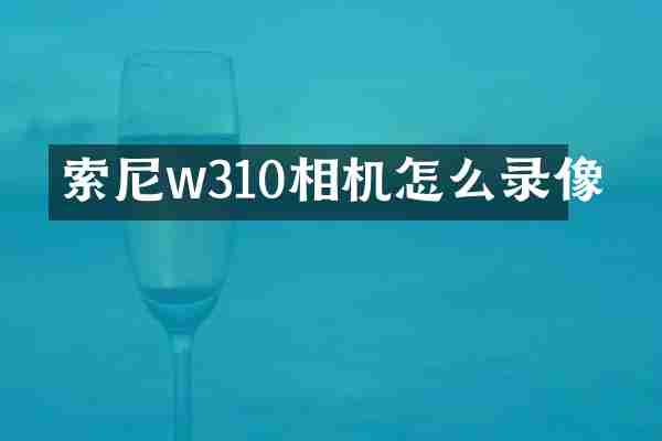 w310相机怎么录像