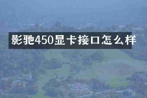 影驰450显卡接口怎么样