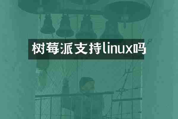 树莓派支持linux吗
