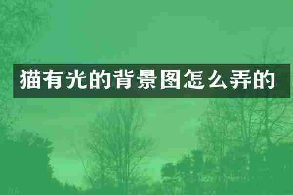 猫有光的背景图怎么弄的