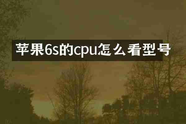 苹果6s的cpu怎么看型号