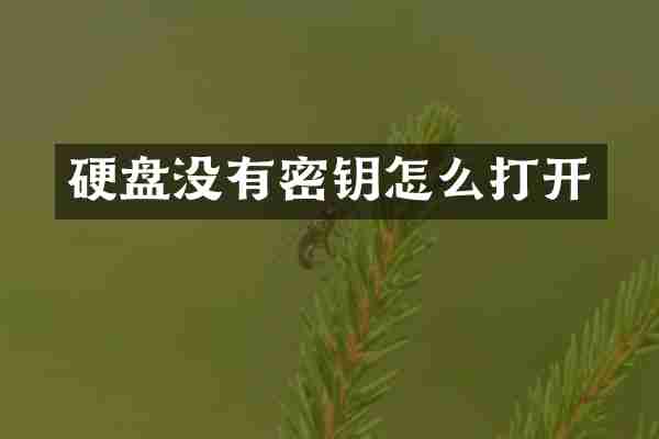 硬盘没有密钥怎么打开