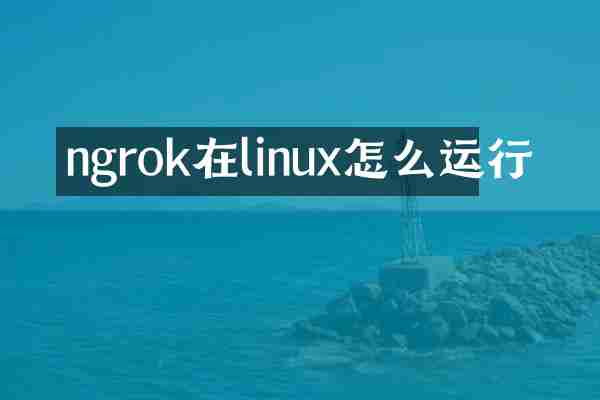 ngrok在linux怎么运行