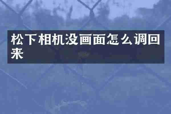 相机没画面怎么调回来