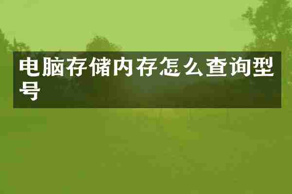 电脑存储内存怎么查询型号